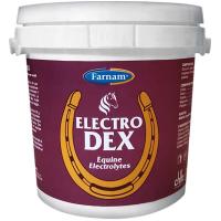 ELETTROLITI PER CAVALLI ELECTRO DEX