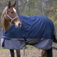 COPERTA PADDOCK IMPERMEABILE PER CAVALLI E PONY SENZA IMBOTTITURA