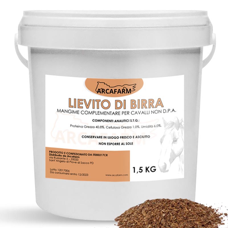 Lievito di Birra naturale - 100g – Biscotti Cavanna