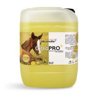 LOZIONE SPRAY PROTETTIVA CITRONELLA ARCAFARM CitroPro+ TANICA da 5 lt