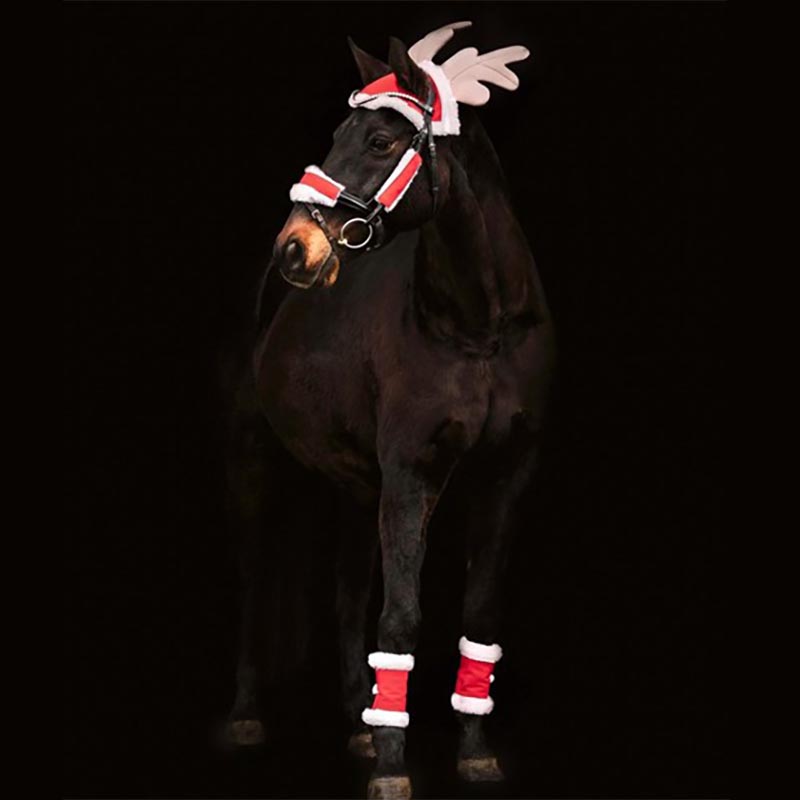 Set natalizio per cavallo, cappuccio, copri capezza e fasce - 9312