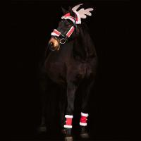 SET NATALIZIO PER CAVALLO, CAPPUCCIO, COPRI CAPEZZA e FASCE - 9312