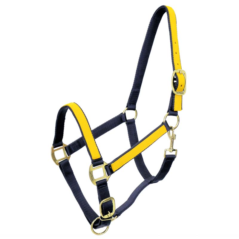 Cavezza sintetica bi-colore con riporti