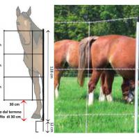 RETE ELETTRIFICATA PER CAVALLI E VITELLI 30 MT