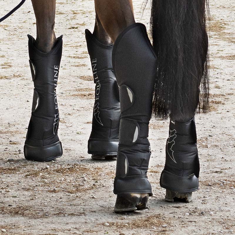 Paracolpi da trasporto equiline rex set 4 pezzi - 1567