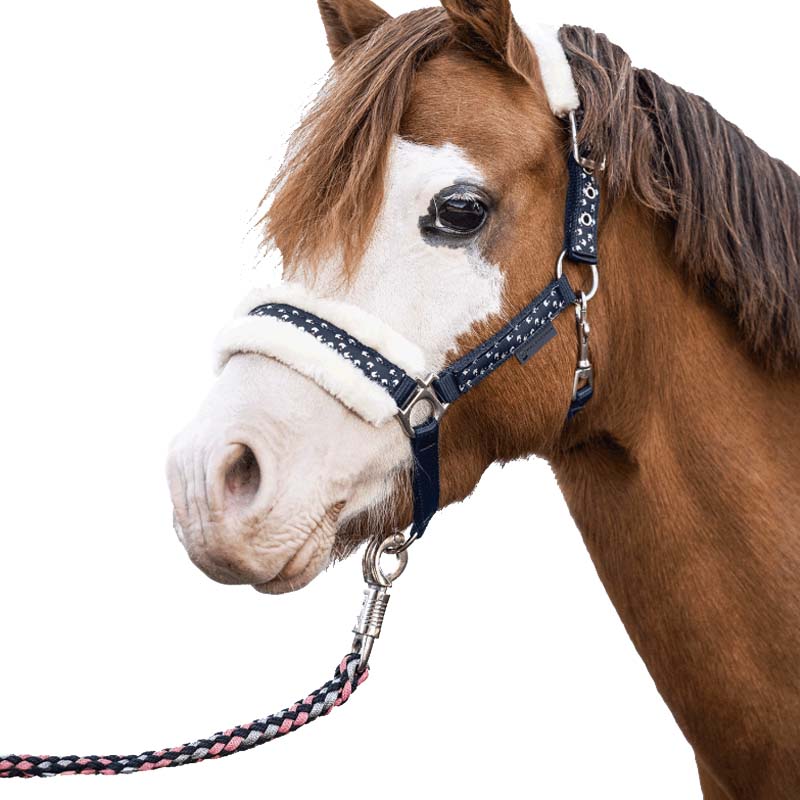 Capezza da Mini Shetland/Pony/Cavallo - con lunghina abbinata LUCKY - 0353