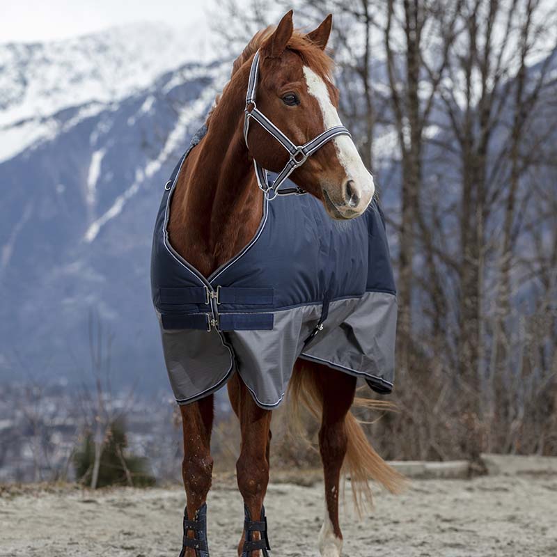 Coperta da paddock 150g Equitheme Tyrex 600D - 0422