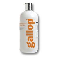 SHAMPOO GALLOP PER USO QUOTIDIANO CARR & DAY & MARTIN