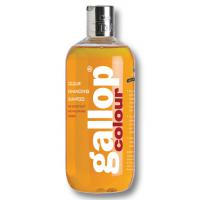 SHAMPOO CAVALLO GALLOP CHESTNUT & PALOMINO CARR & DAY & MARTIN