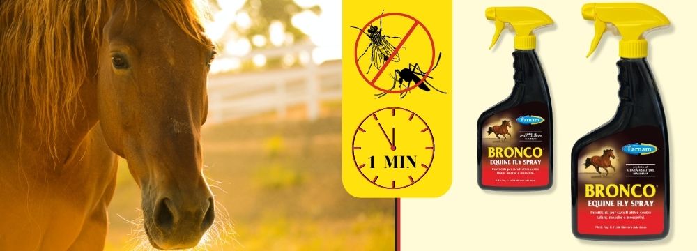 Stop a fastidiosi insetti con BRONCO, il N° 1 negli USA