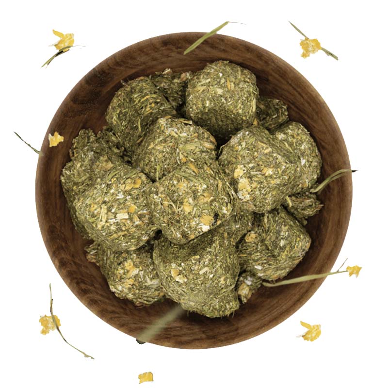 Biscotti per Cavalli EQUISNACK Wafer Snack Guidolin 2,5 kg con foraggio e cereali - 1017