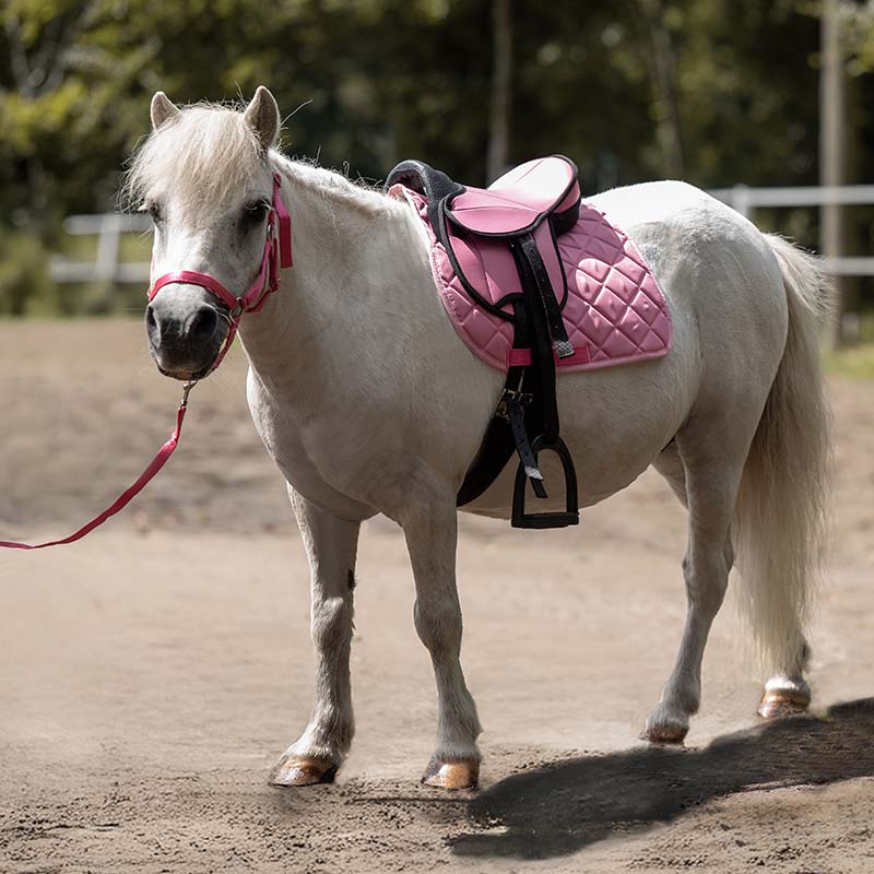 Set completo Sella per Shetland HKM - 8361