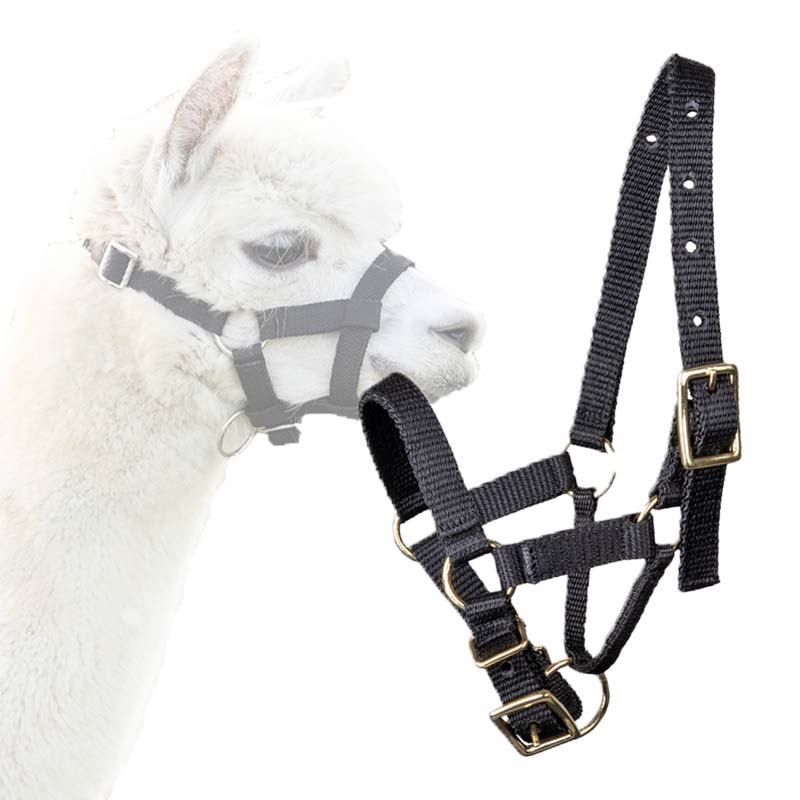 Capezza per Lama e Alpaca sintetica e regolabile - 0299