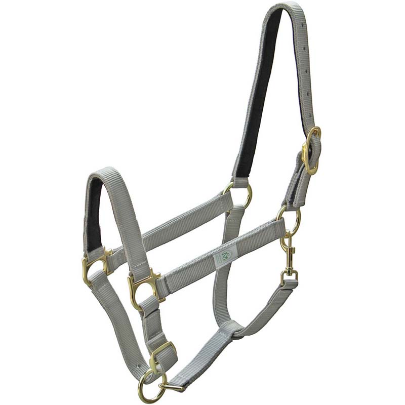 Cavezza sintetica Premium per Cavallo con interno in cuoio - 0315