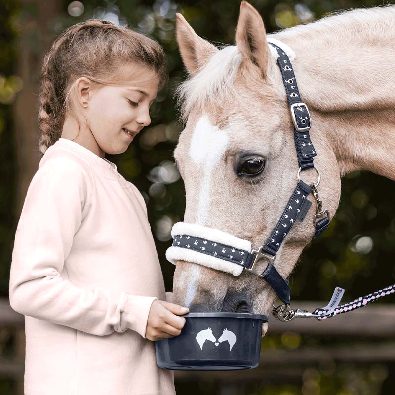 Capezza da Mini Shetland/Pony/Cavallo - con lunghina abbinata LUCKY - 0353