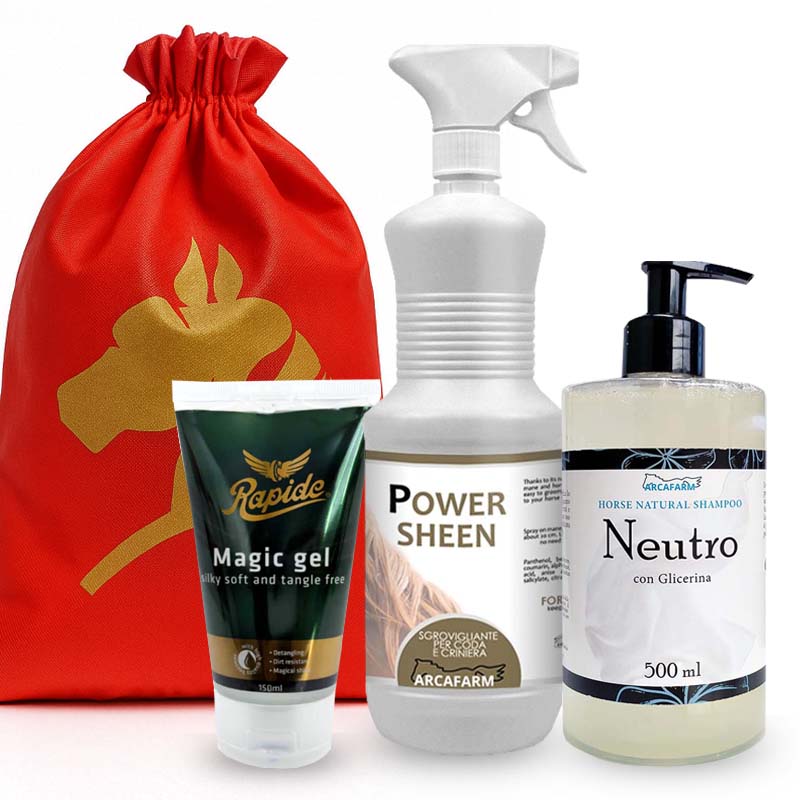 Pacchetto natalizio donner