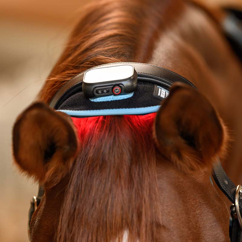 Fascia Terapeutica Massaggiante a Infrarossi FlexPad multiuso W-Health+Care - 1912