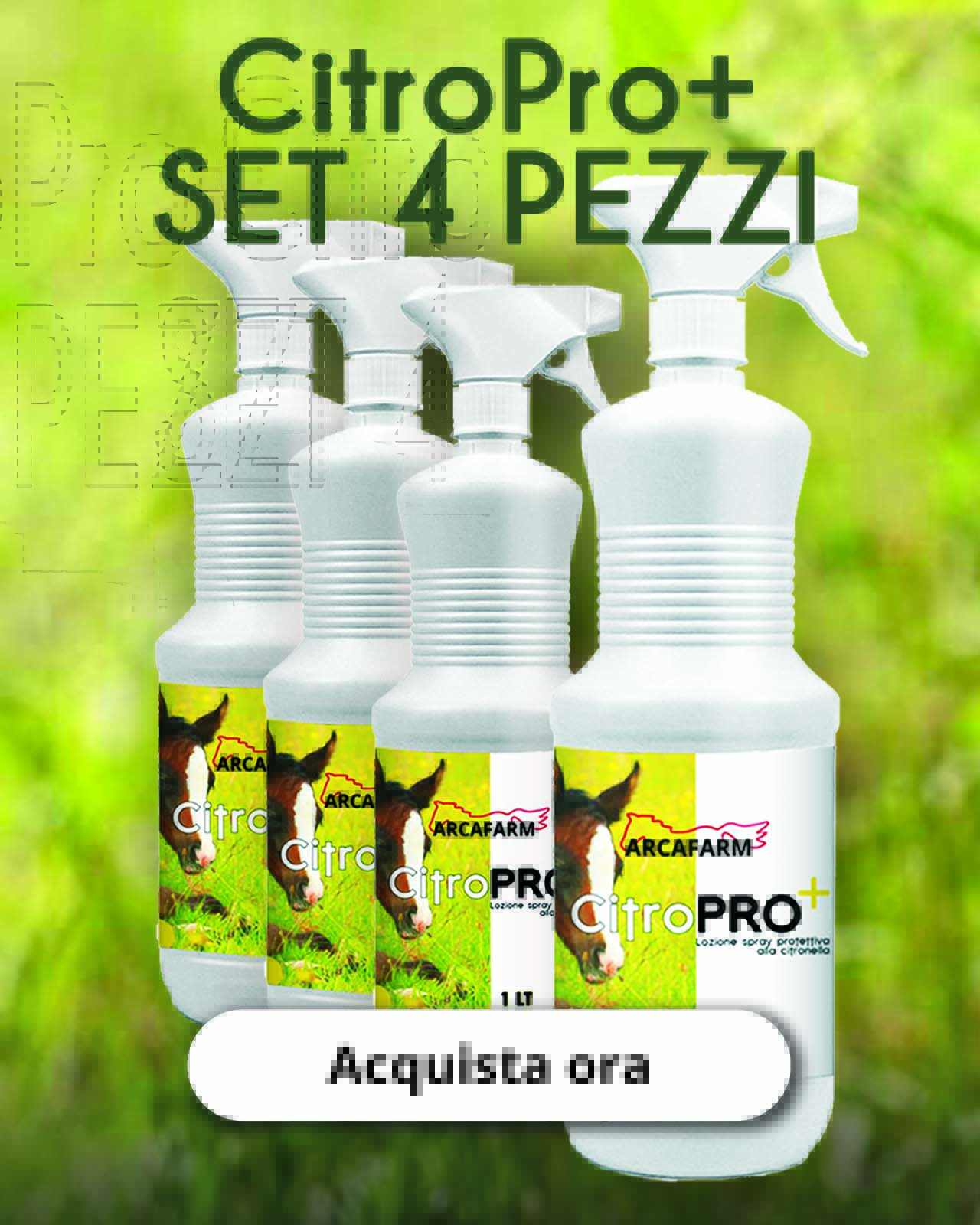 Acquista ora CitroPro+ repellente SET 4 pezzi!
