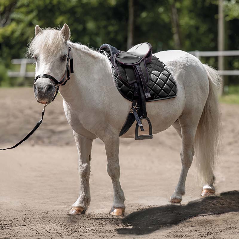 Set completo Sella per Shetland HKM - 8361