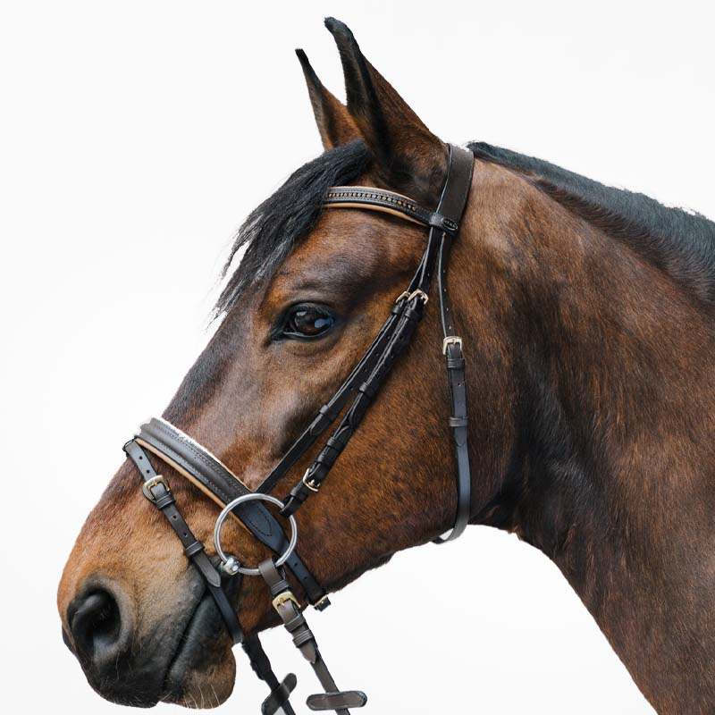 Briglia inglese Star Diamond con strass - vari colori - 2330