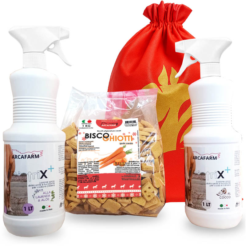 Pacchetto natalizio Rudolph