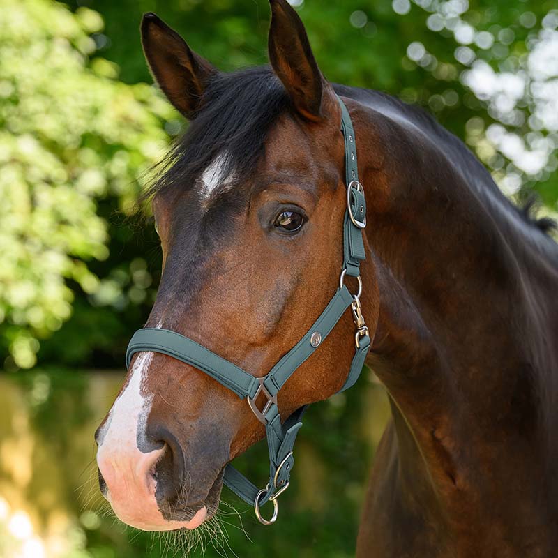 Capezza Sintetica Morbida con elastan TRINIDAD - 0388