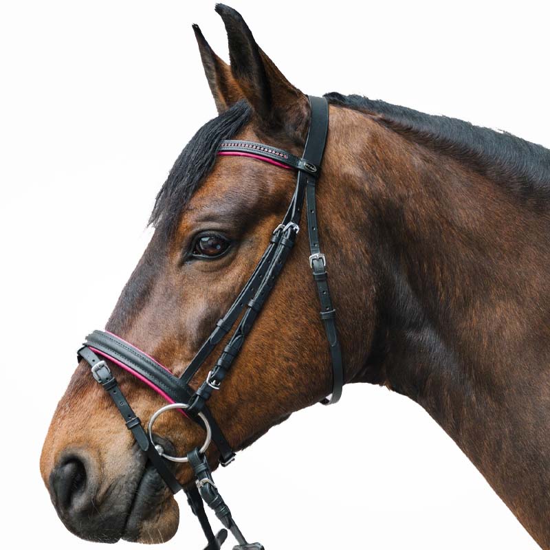 Briglia inglese Star Diamond con strass - vari colori - 2330