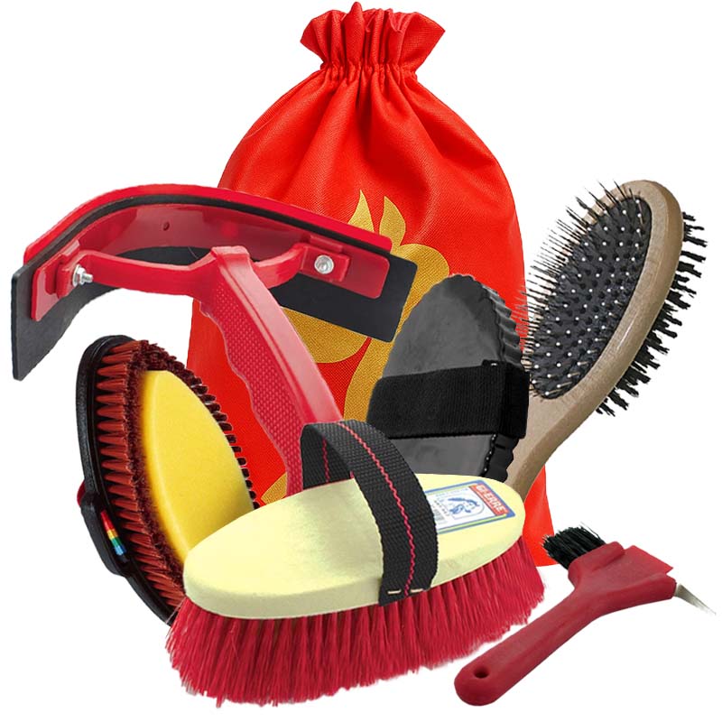 Pacchetto natalizio prancer